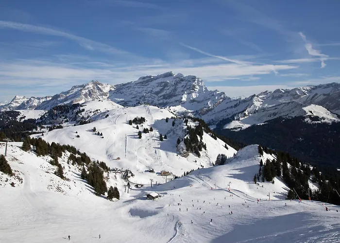 Marmousets 2 By Interhome * Chesières